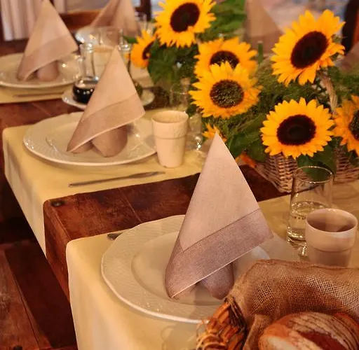 Gospoda Mlynskie Kolo Guest house *